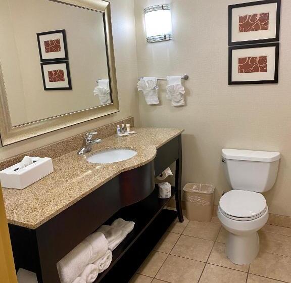 スイート, Comfort Suites Rock Hill Manchester Meadows Area
