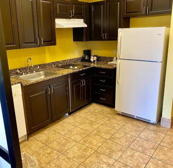 身障者適用スイートルーム, Comfort Suites Rock Hill Manchester Meadows Area