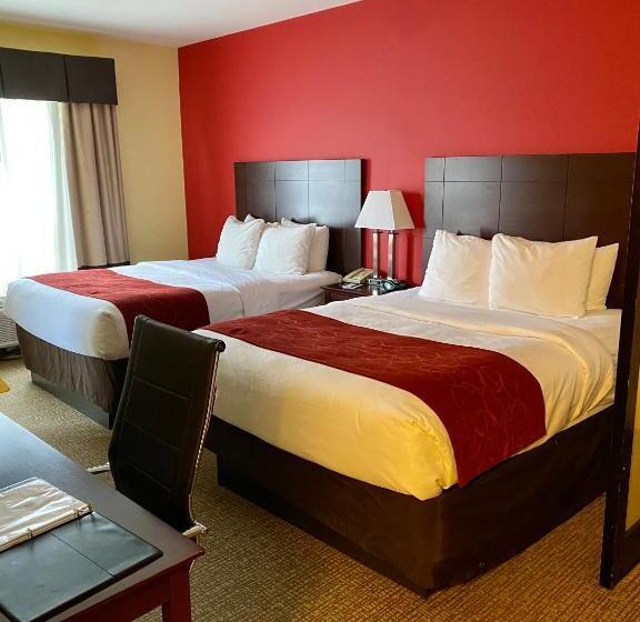 身障者適用スイートルーム, Comfort Suites Rock Hill Manchester Meadows Area