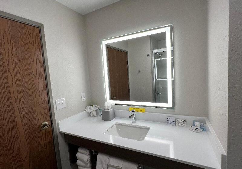 Номер Стандарт Кровать Кинг Адаптированный для Инвалидов, Holiday Inn Express Hotel & Suites Dubois, An Ihg