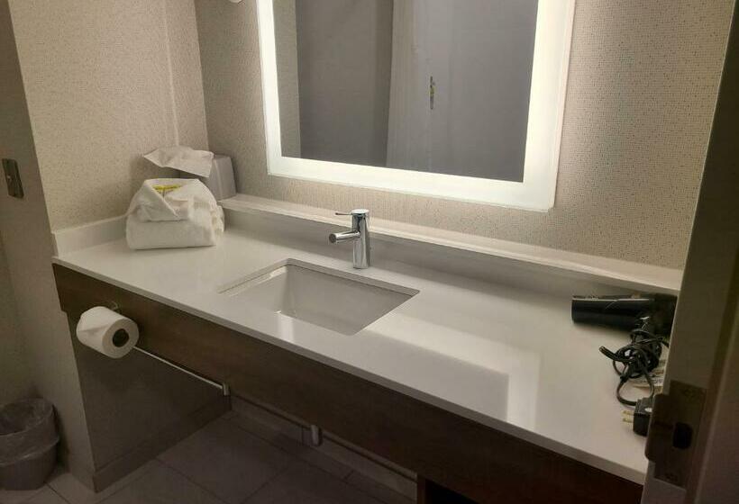 Стандартный Номер Кровать Кинг, Holiday Inn Express Lordstown Newton Falls/warren, An Ihg