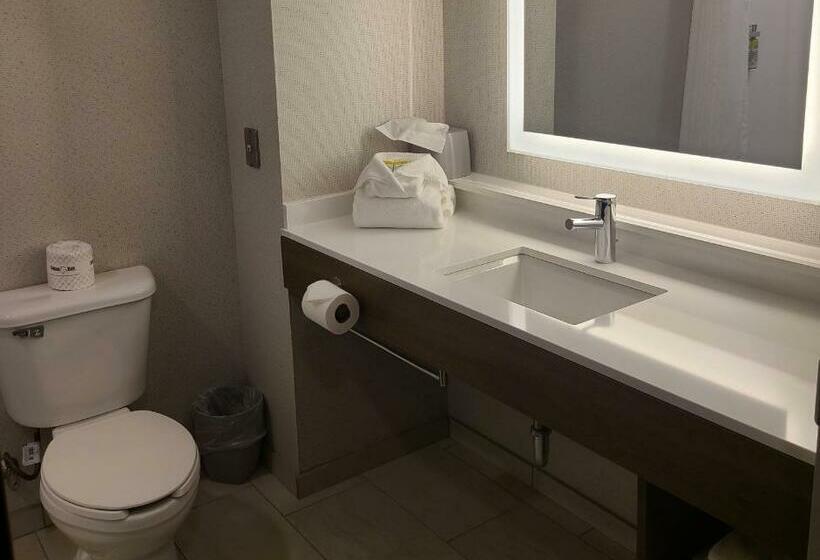 Стандартный Номер Кровать Кинг, Holiday Inn Express Lordstown Newton Falls/warren, An Ihg