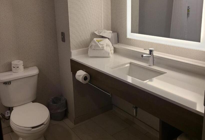 Студия Стандарт, Holiday Inn Express Lordstown Newton Falls/warren, An Ihg