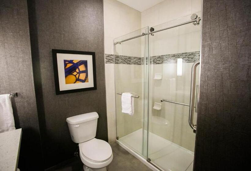 Номер Стандарт Кровать Кинг Адаптированный для Инвалидов, Holiday Inn Longview   North, An Ihg