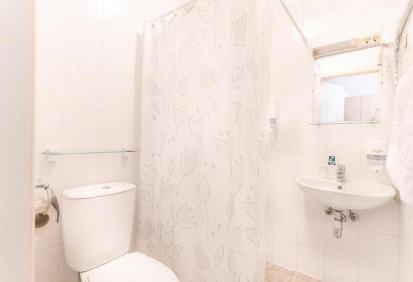 اتاق استاندارد یک نفره, Aribė Hotel Klaipėda, Free Parking