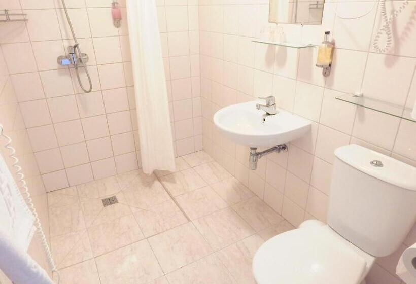اتاق استاندارد, Aribė Hotel Klaipėda, Free Parking