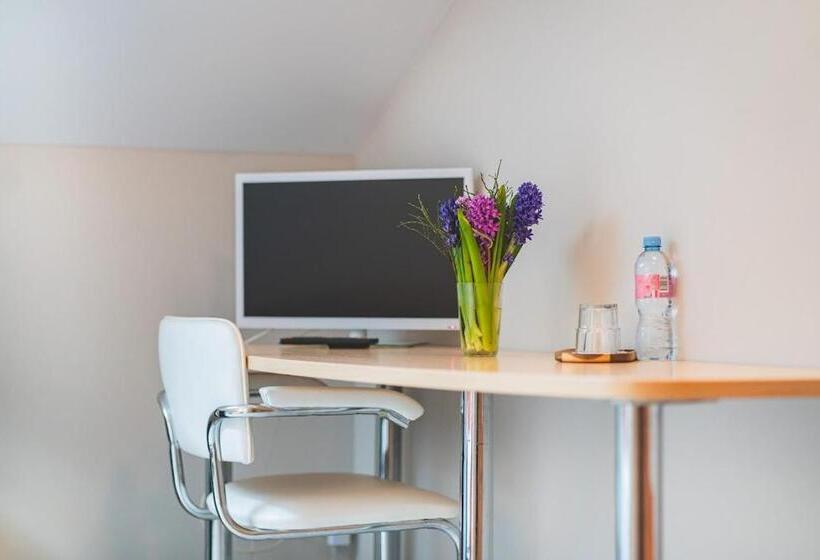اتاق اکونومی یک تخته, Aribė Hotel Klaipėda, Free Parking