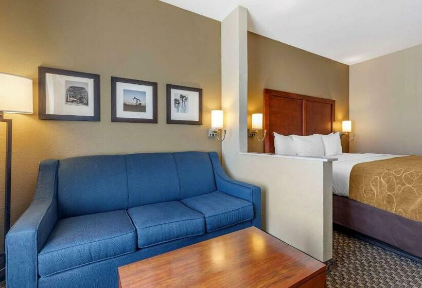 Люкс Кровать Кинг, Comfort Suites