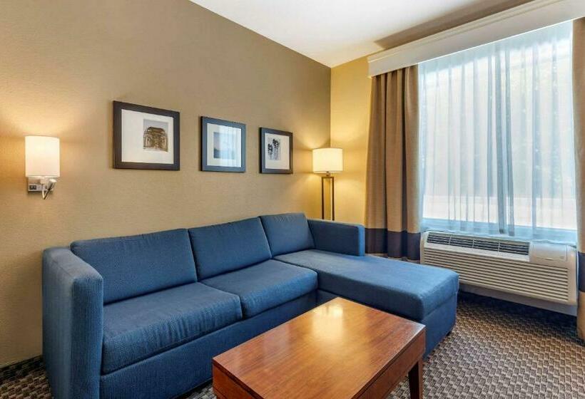 Люкс Кровать Кинг, Comfort Suites
