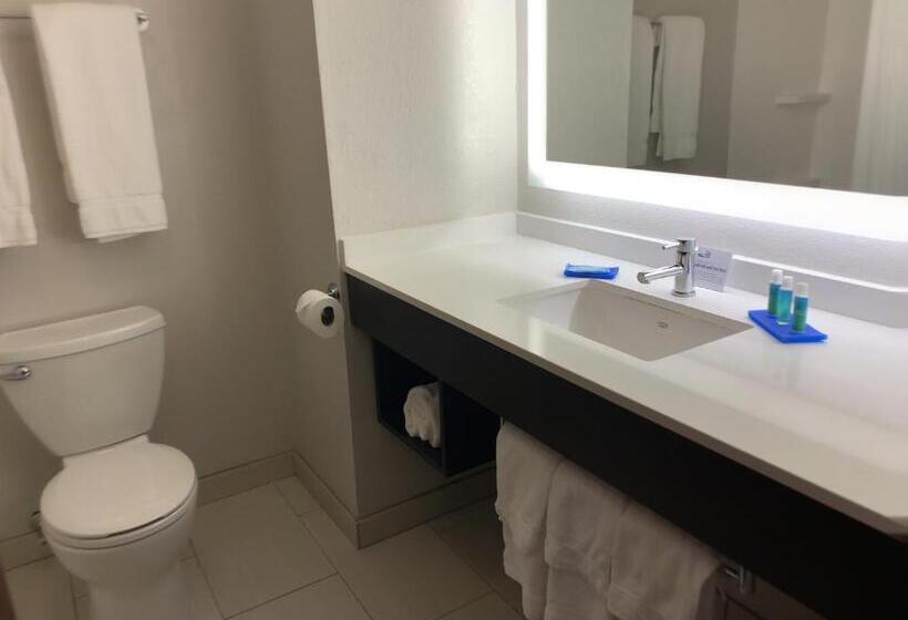 Люкс Кровать Кинг, Holiday Inn Express Hotel & Suites Exmore Eastern Shore, An Ihg