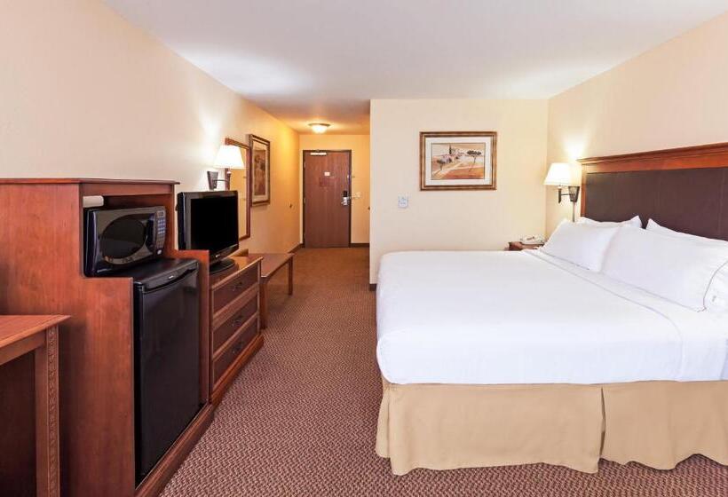 Standard-invahuone King-vuode, Holiday Inn Express & Suites   Laredo Event Center Area, An Ihg