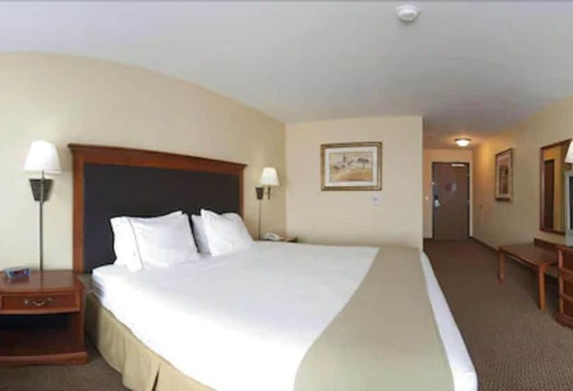 Standard-huone, Holiday Inn Express & Suites   Laredo Event Center Area, An Ihg