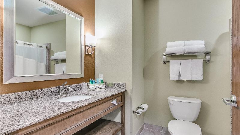 Стандартный Номер Кровать Кинг, Holiday Inn Express & Suites Lubbock Southwest – Wolfforth, An Ihg