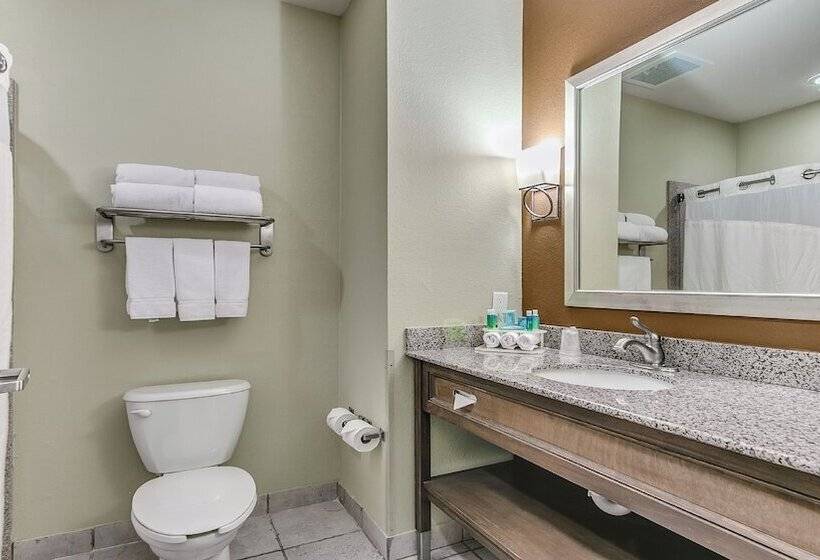Люкс, Holiday Inn Express & Suites Lubbock Southwest – Wolfforth, An Ihg