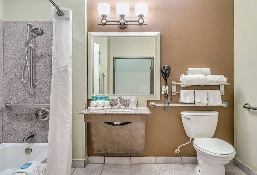 Номер Стандарт Адаптированный для Инвалидов, Holiday Inn Express & Suites Lubbock Southwest – Wolfforth, An Ihg