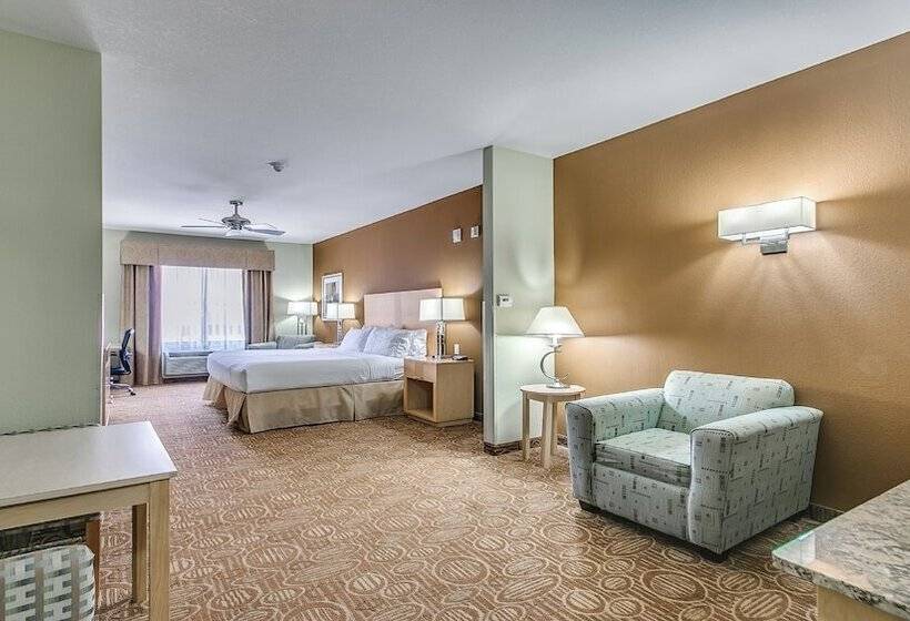 Номер Стандарт Адаптированный для Инвалидов, Holiday Inn Express & Suites Lubbock Southwest – Wolfforth, An Ihg
