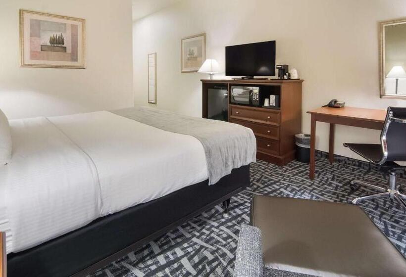 Стандартный Номер Кровать Кинг, Best Western Comanche Inn