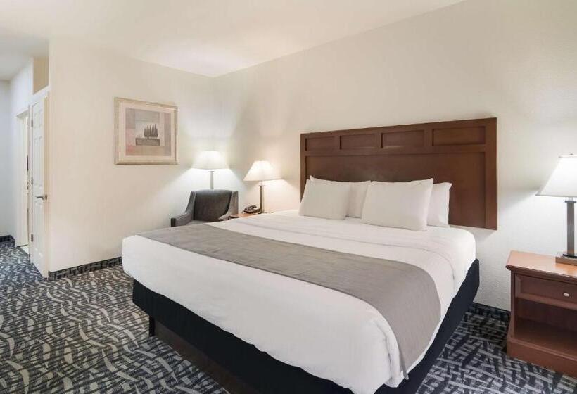 Стандартный Номер Кровать Кинг, Best Western Comanche Inn