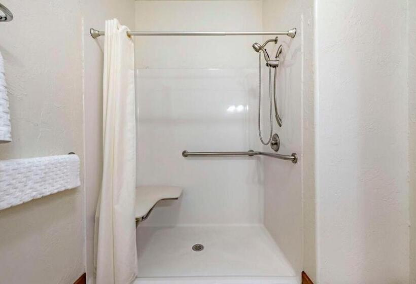 장애인을 위한 킹사이즈 침대 스탠다드 룸, Best Western Devils Tower Inn