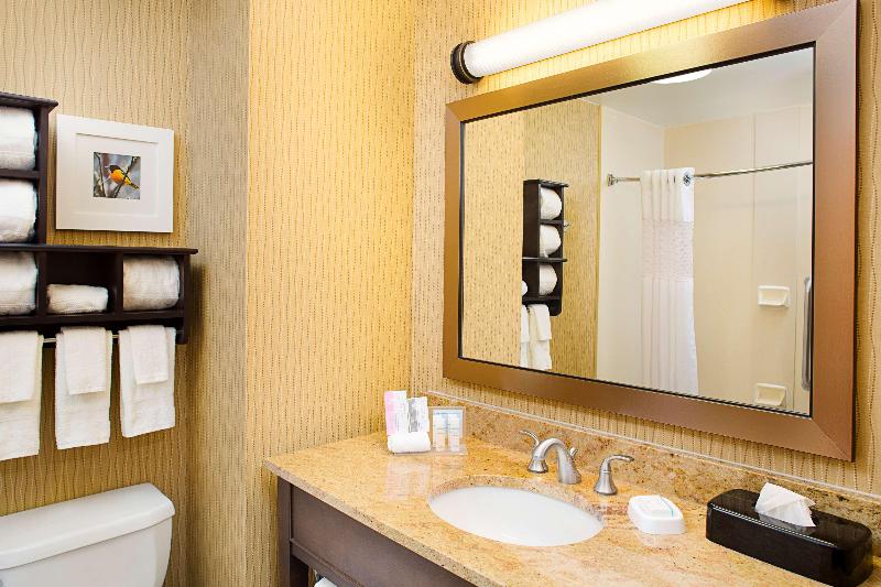 Люкс Кровать Кинг, Best Western South Plains Inn & Suites