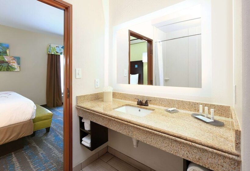 Люкс Кровать Кинг, La Quinta By Wyndham Dallas Grand Prairie South
