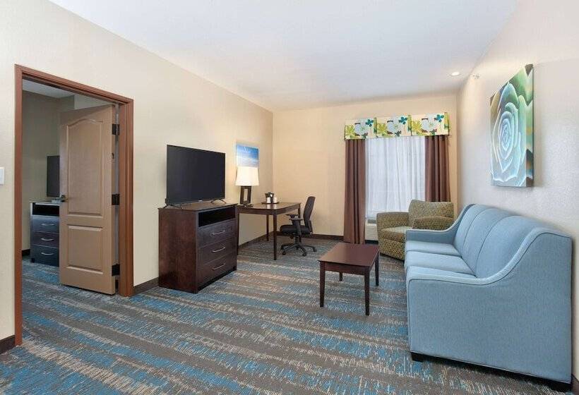 Люкс Кровать Кинг, La Quinta By Wyndham Dallas Grand Prairie South