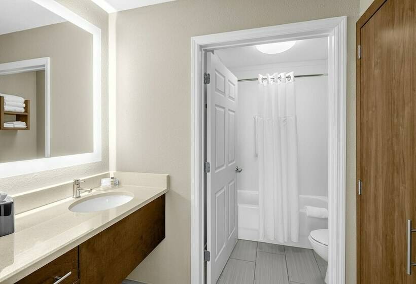 Standaard Studio, Staybridge Suites Chattanooga Hamilton Place, An Ihg