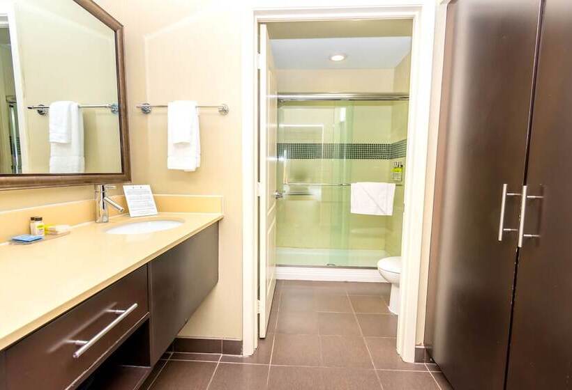 סוויטת 2 חדרי שינה, Staybridge Suites Houston   Iah Airport, An Ihg