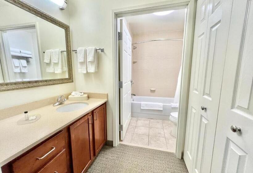 Люкс, Staybridge Suites Detroit Novi, An Ihg
