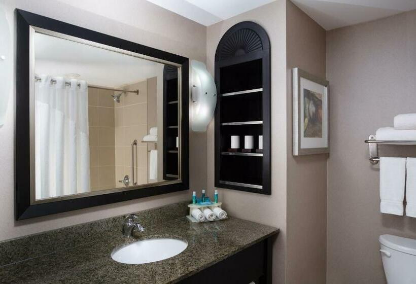 اتاق استاندارد با تخت بزرگ, Holiday Inn Express & Suites Ottawa West   Nepean, An Ihg