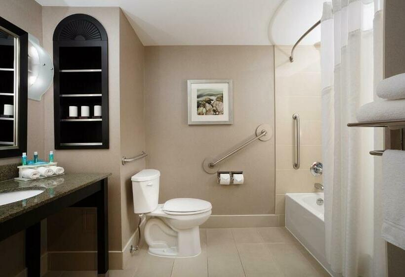 اتاق استاندارد با تخت بزرگ, Holiday Inn Express & Suites Ottawa West   Nepean, An Ihg