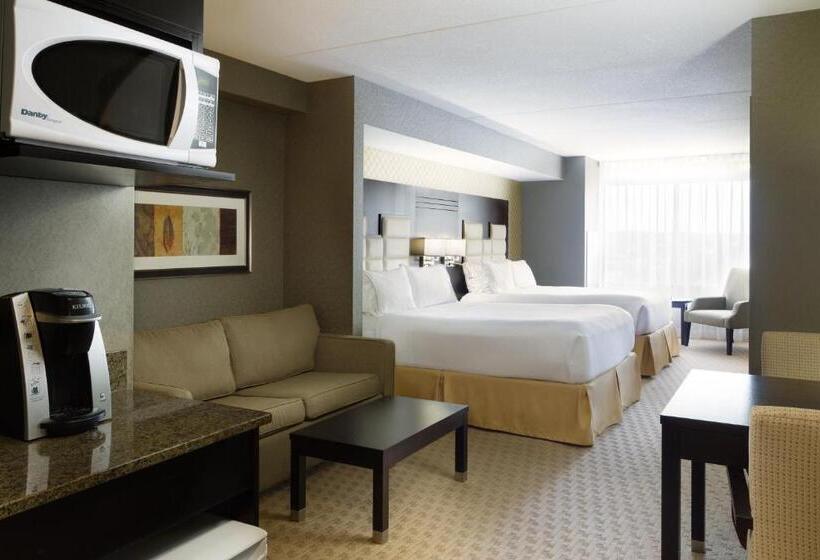 سوییت, Holiday Inn Express & Suites Ottawa West   Nepean, An Ihg