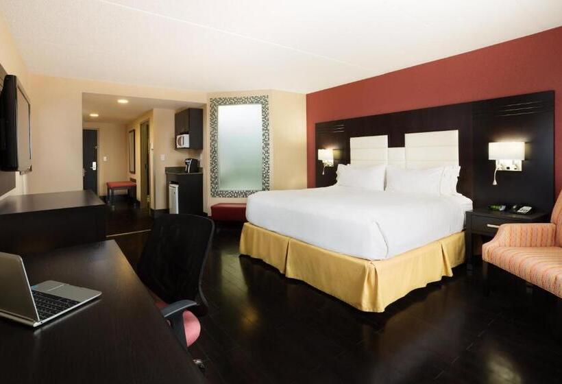 سوئیت با تخت بزرگ, Holiday Inn Express & Suites Ottawa West   Nepean, An Ihg