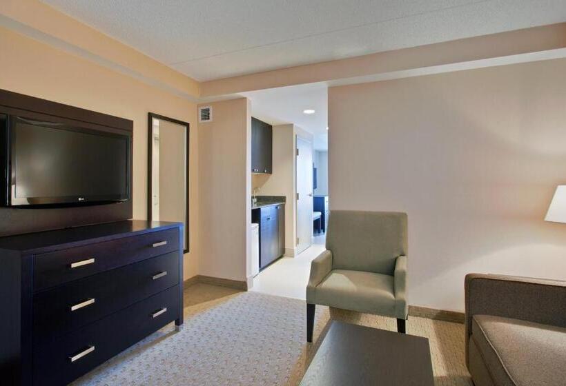 سوئیت اجرایی با تخت کینگ, Holiday Inn Express & Suites Ottawa West   Nepean, An Ihg