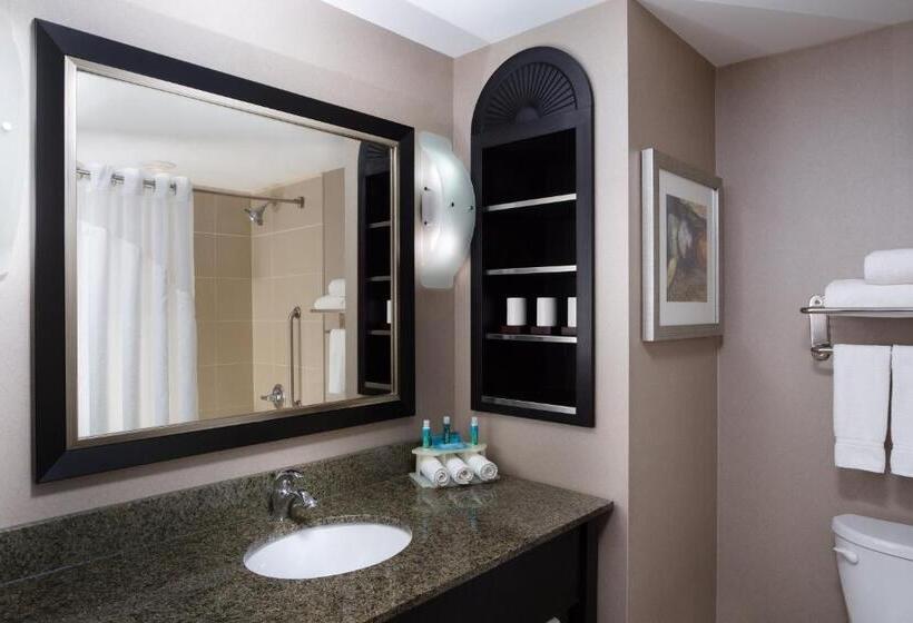 سوئیت اجرایی با تخت کینگ, Holiday Inn Express & Suites Ottawa West   Nepean, An Ihg