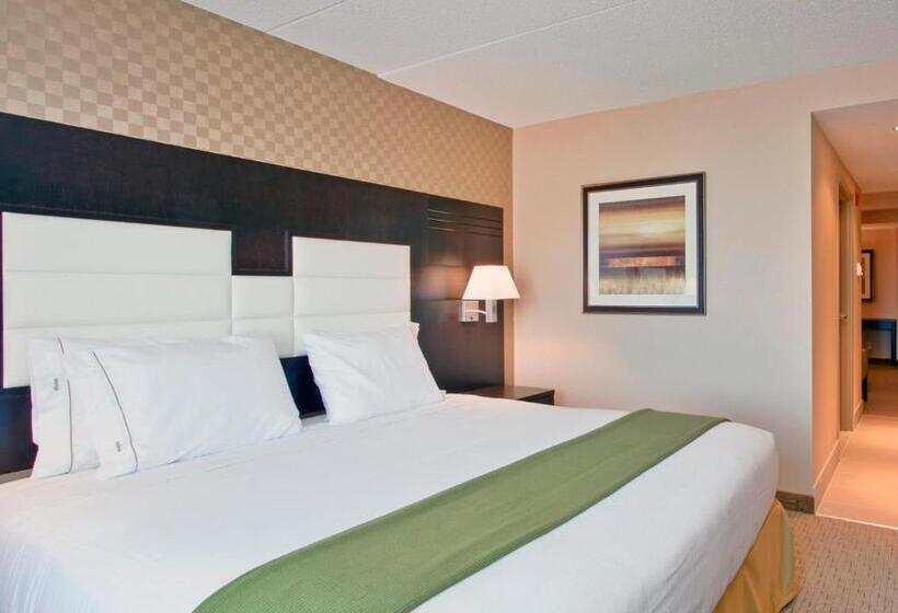 سوئیت اجرایی با تخت کینگ, Holiday Inn Express & Suites Ottawa West   Nepean, An Ihg
