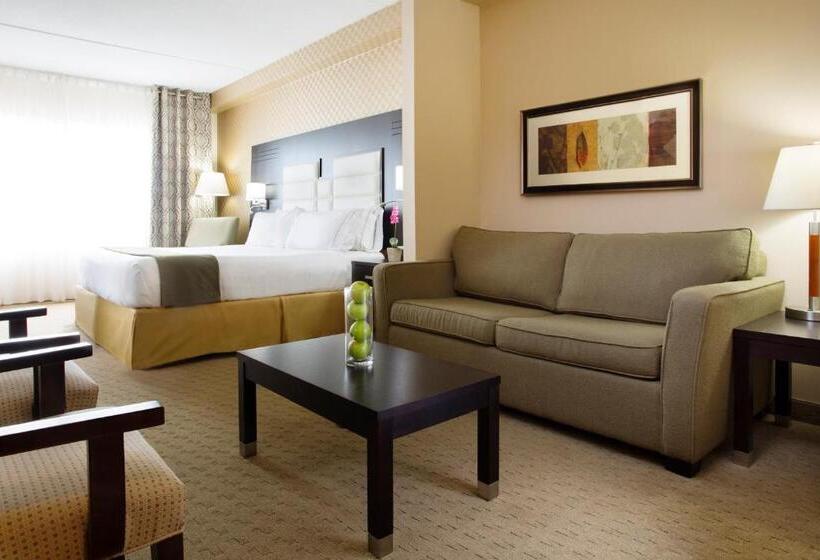 سوئیت با تخت بزرگ, Holiday Inn Express & Suites Ottawa West   Nepean, An Ihg