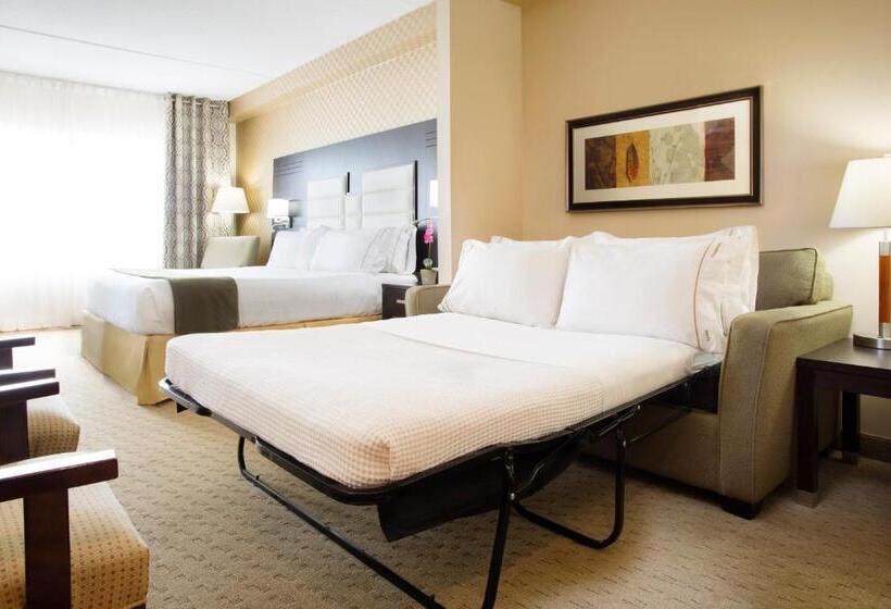 سوئیت با تخت بزرگ, Holiday Inn Express & Suites Ottawa West   Nepean, An Ihg