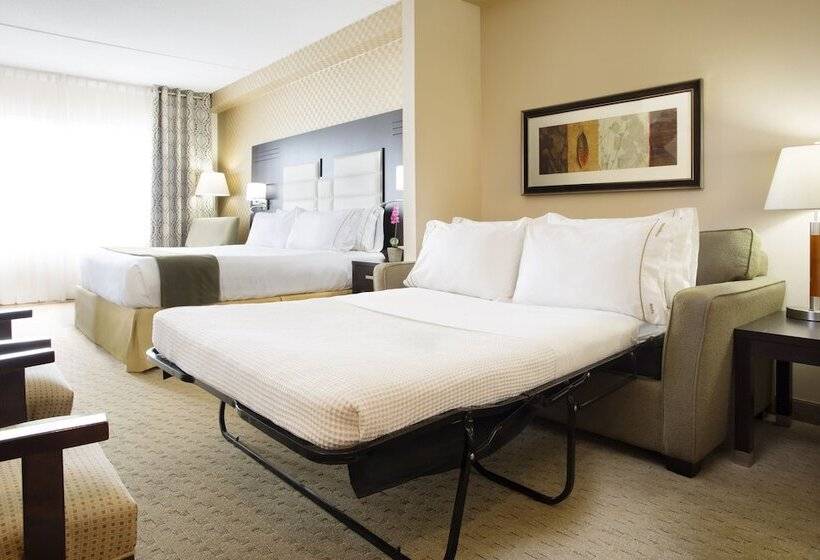 سوییت, Holiday Inn Express & Suites Ottawa West   Nepean, An Ihg