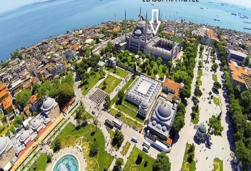 اتاق استاندارد یک نفره, Elasophia