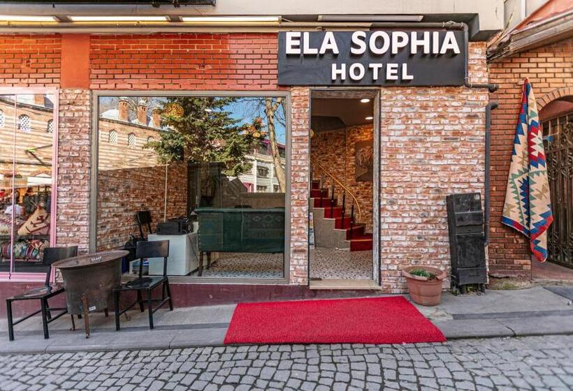 ファミリールーム, Elasophia
