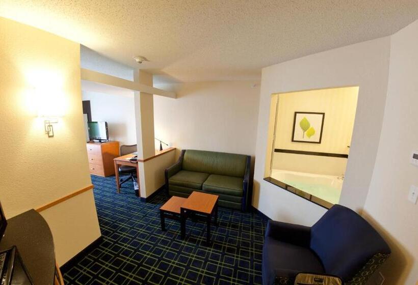 Стандартный Номер Кровать Кинг, Fairfield Inn And Suites Flint Fenton