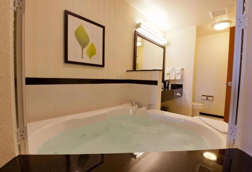 스탠다드 룸 킹사이즈 침대, Fairfield Inn And Suites Flint Fenton