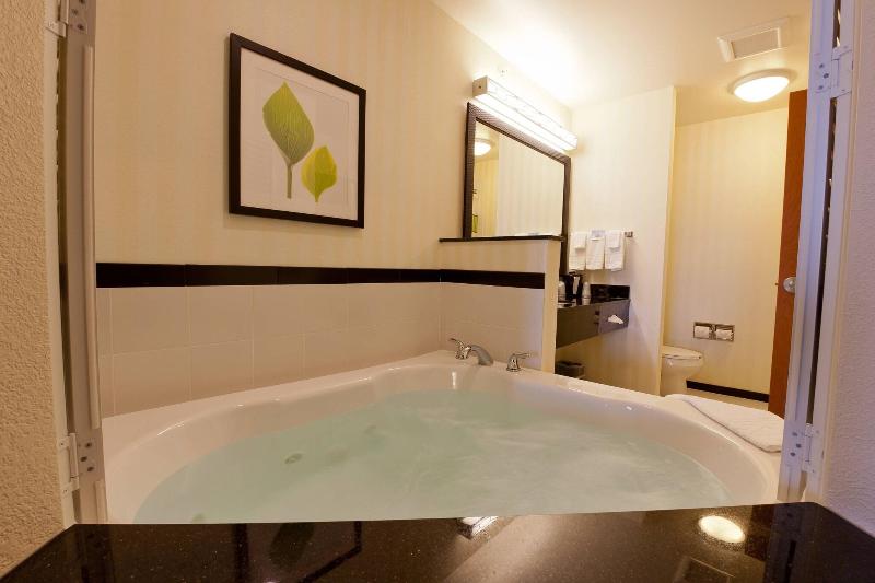 스탠다드 룸 킹사이즈 침대, Fairfield Inn And Suites Flint Fenton