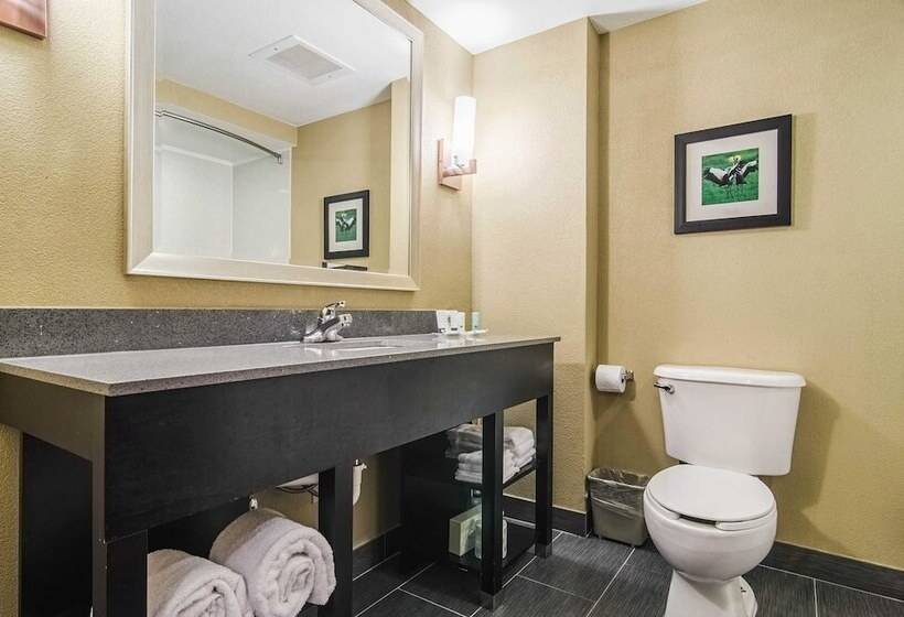 Люкс, Quality Suites