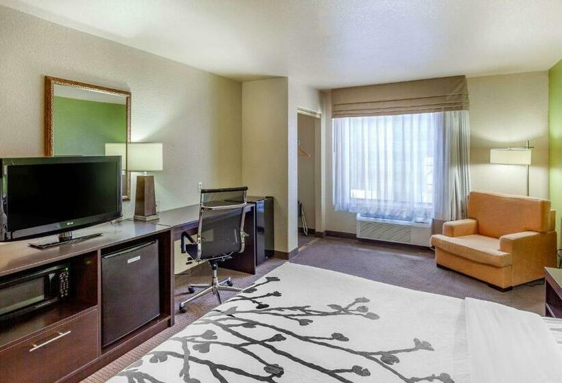 带大床的标准间, Sleep Inn & Suites Hewitt  South Waco