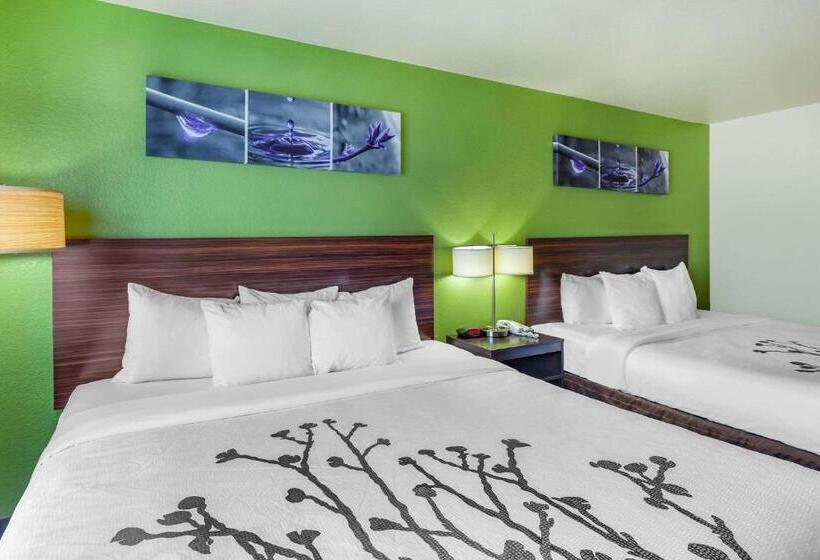 标准间, Sleep Inn & Suites Hewitt  South Waco