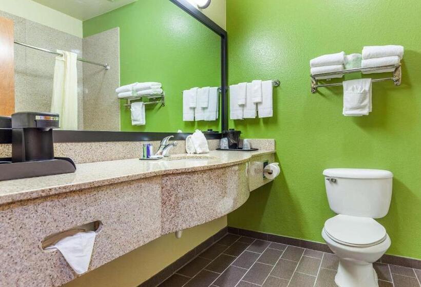 标准间, Sleep Inn & Suites Hewitt  South Waco