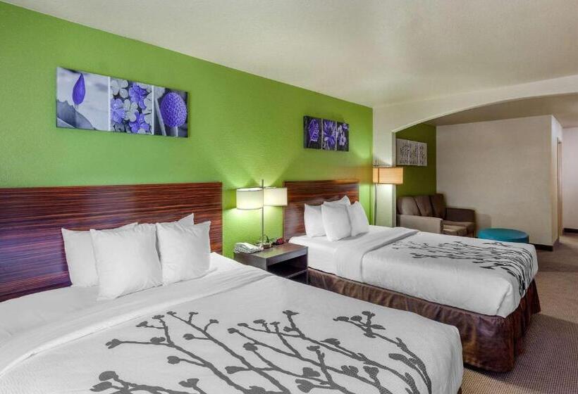 套房, Sleep Inn & Suites Hewitt  South Waco