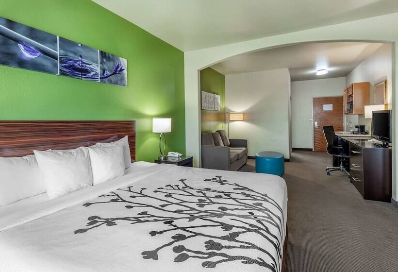 套房, Sleep Inn & Suites Hewitt  South Waco